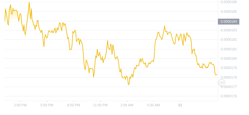 2024年09月21日Bonk币价格
